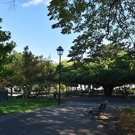 Architect-designed Loft In A Historic Hilltop Neighborhood リスボン