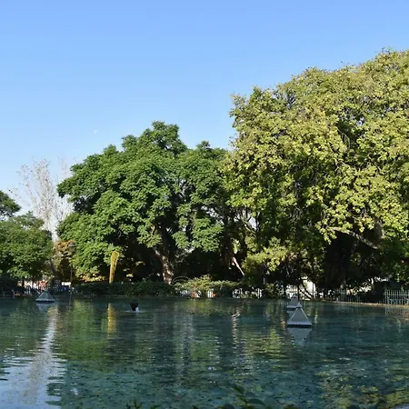 Architect-designed Loft In A Historic Hilltop Neighborhood アパート リスボン